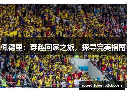 佩德里：穿越回家之旅，探寻完美指南