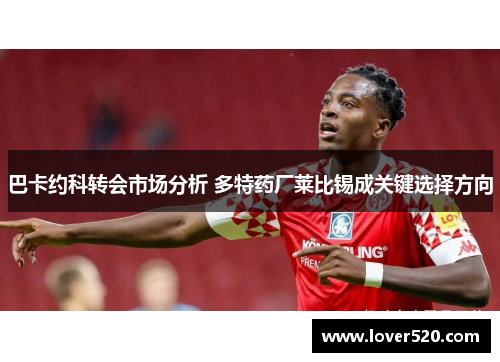 巴卡约科转会市场分析 多特药厂莱比锡成关键选择方向 巴卡约科转会市场分析 多特药厂莱比锡成关键选择方向