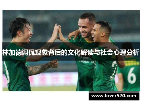 林加德调侃现象背后的文化解读与社会心理分析